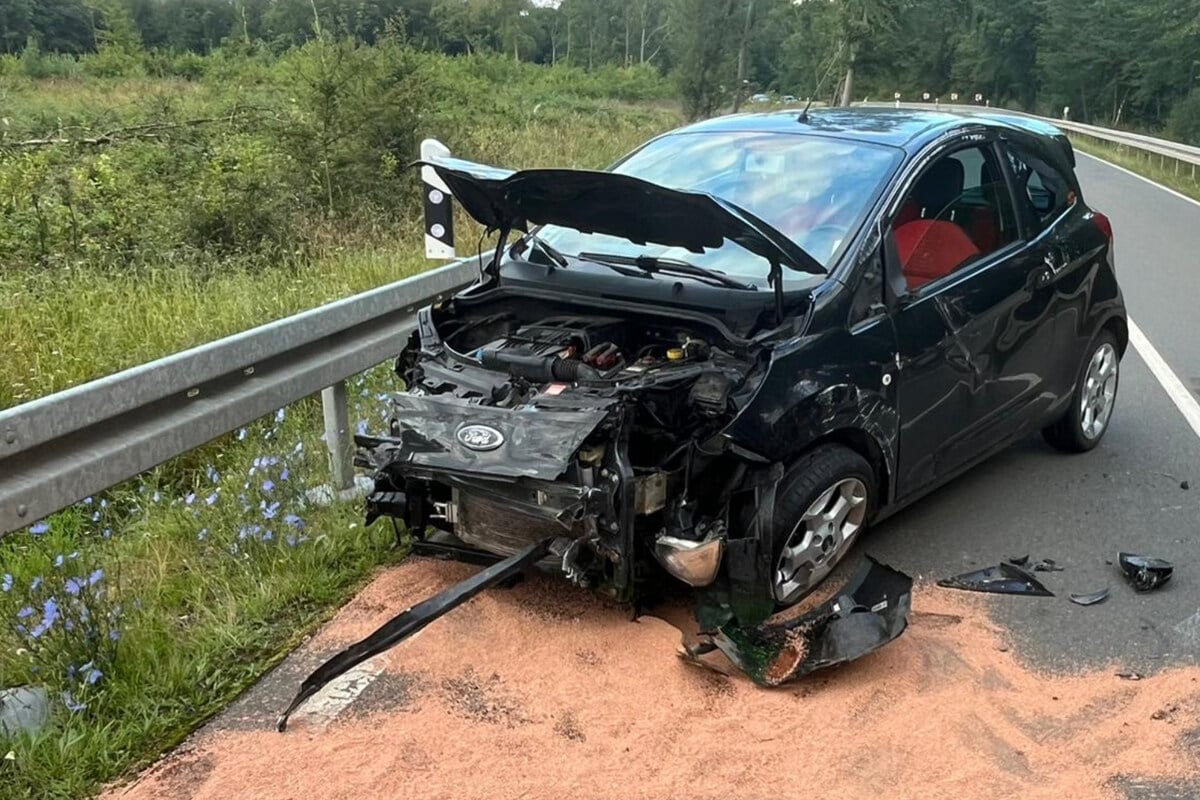 Wildschwein sorgt für heftigen Crash: Bundesstraße im Harz gesperrt