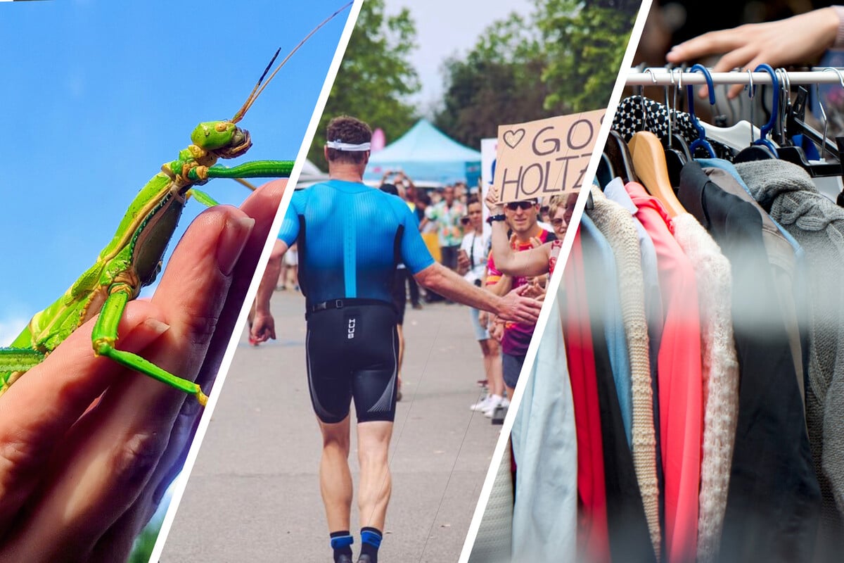 Sport-Kultur-und-Familienspa-Der-Sonntag-in-Leipzig-wird-bunt-und-vielf-ltig