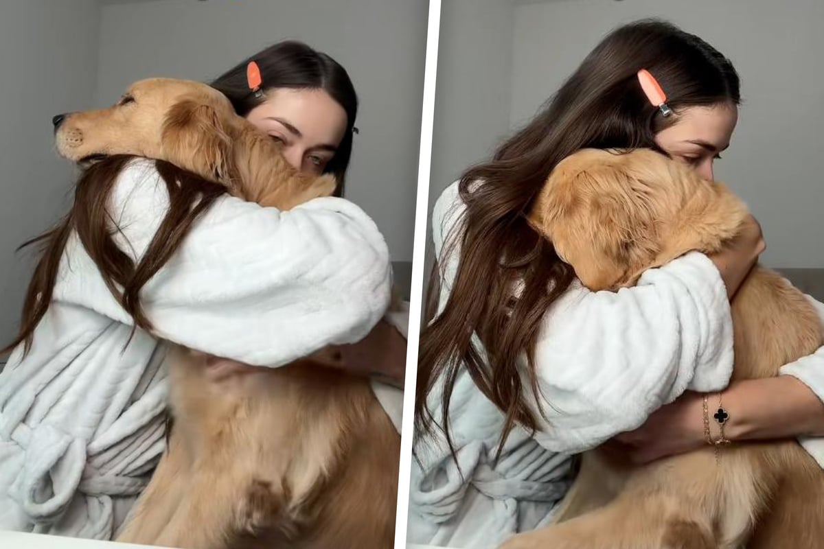 Golden retriever has precious reaction to owner's hug in viral clip: "Dogs are better than people"