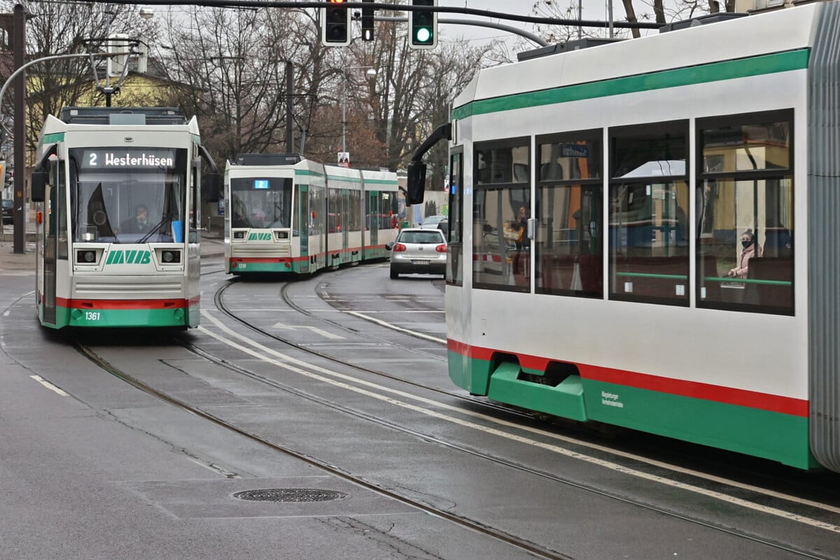 Unruhe in der Straßenbahn: Wer hat diese Tram-Rowdys gesehen?