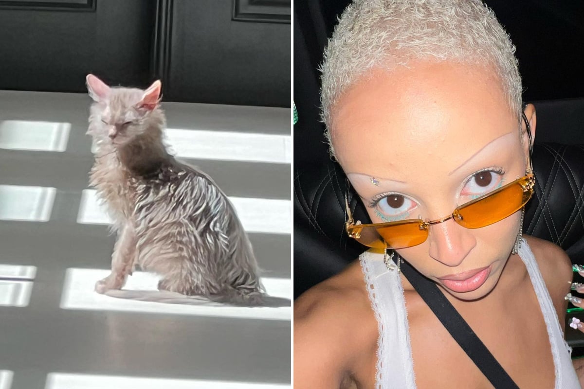 Doja Cat is blowing up Instagram with hysterical pics of her grumpy new ...