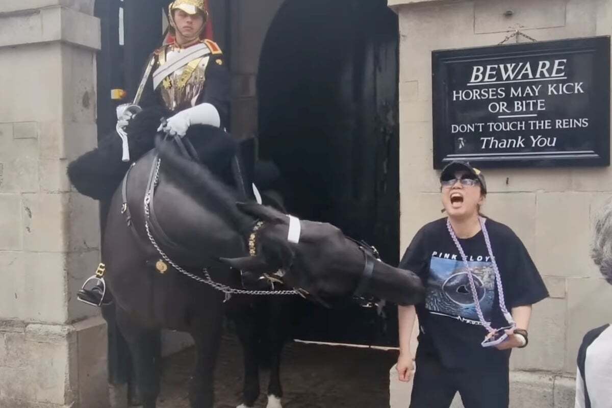 Frau posiert mit Wachmann - dann beißt ihr sein Pferd plötzlich in die Brust