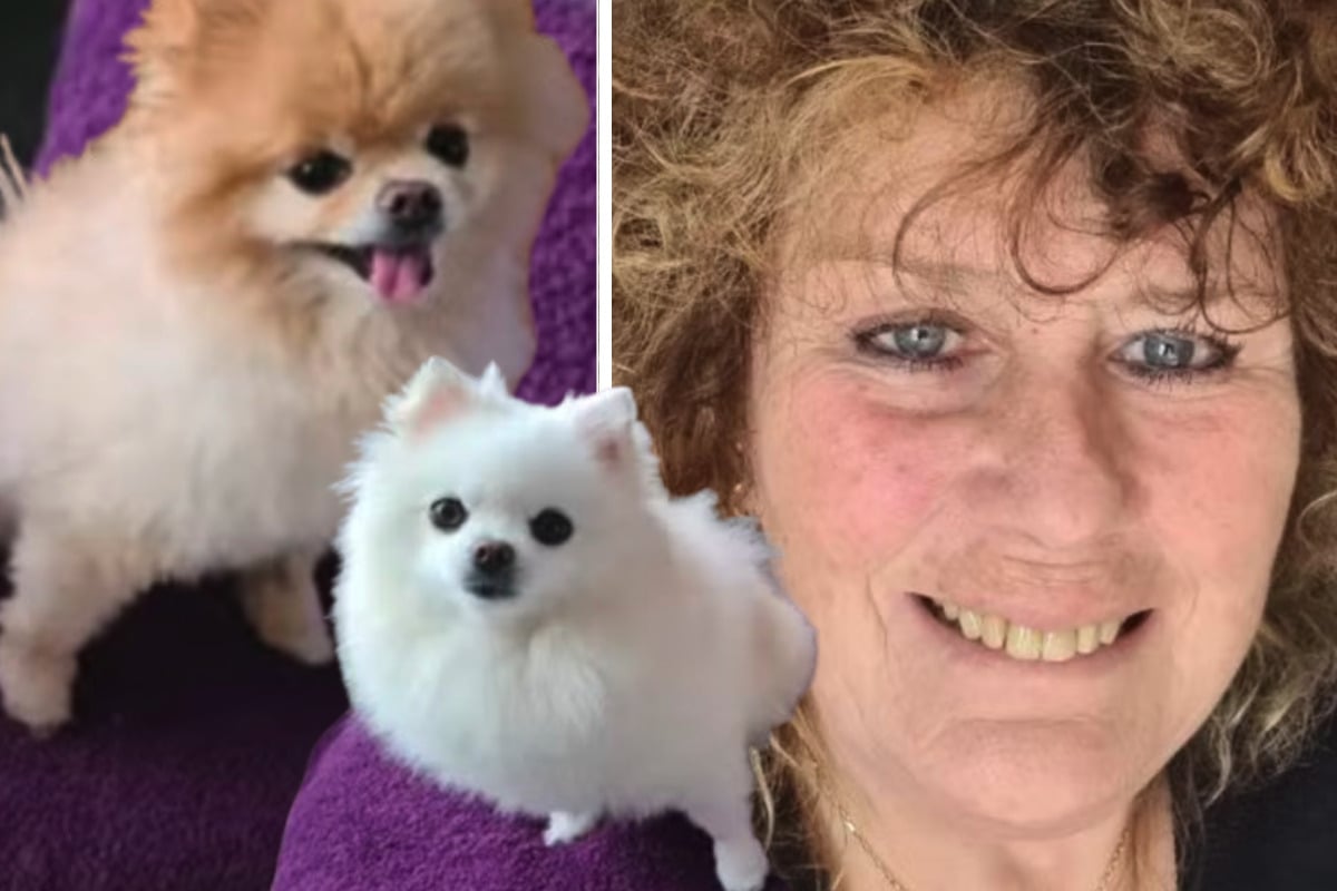 Hundebesitzerin aus Britz in eigenem Haus getötet: Polizei sucht nach Zeugen