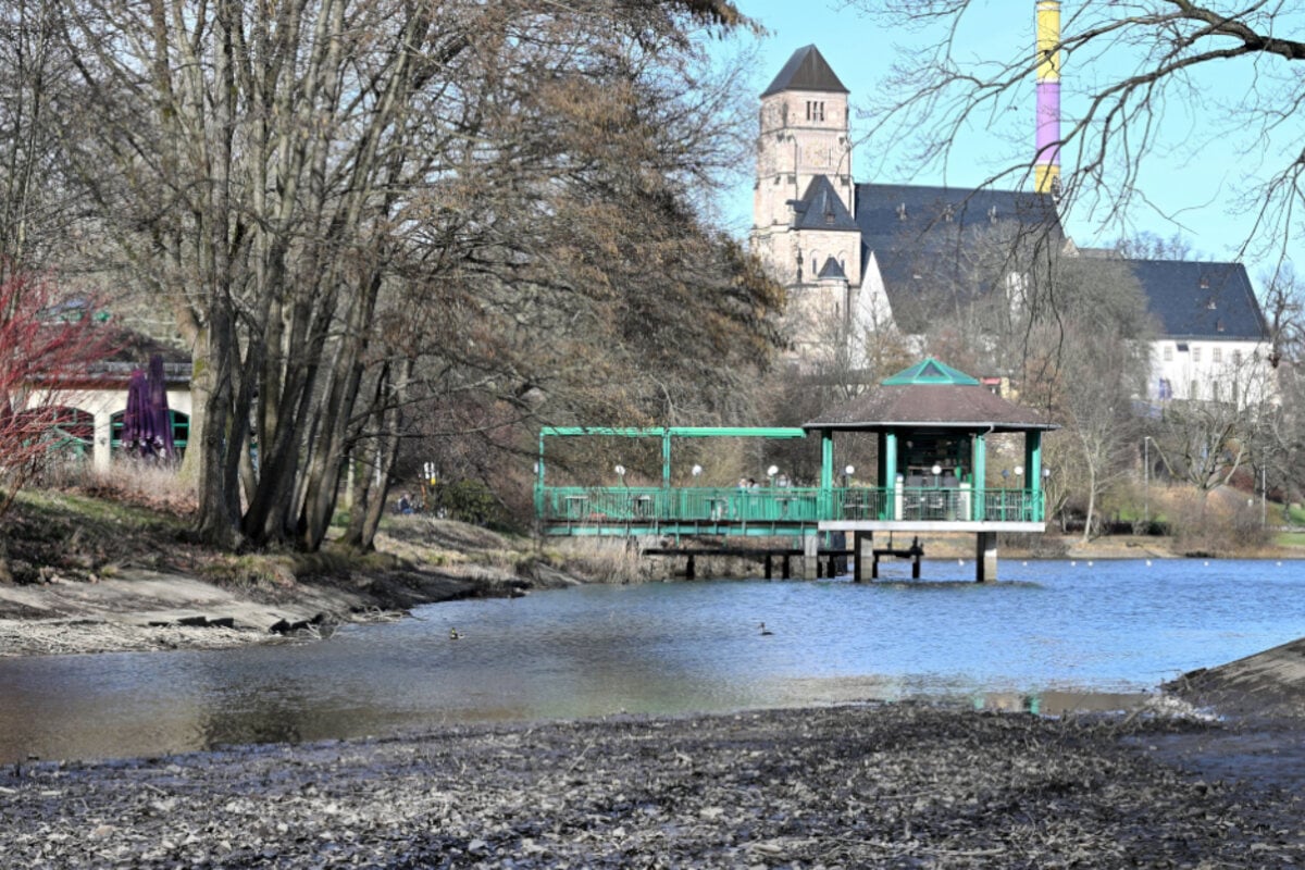 Kaum Wasser im Chemnitzer Schlossteich: Das ist der Grund