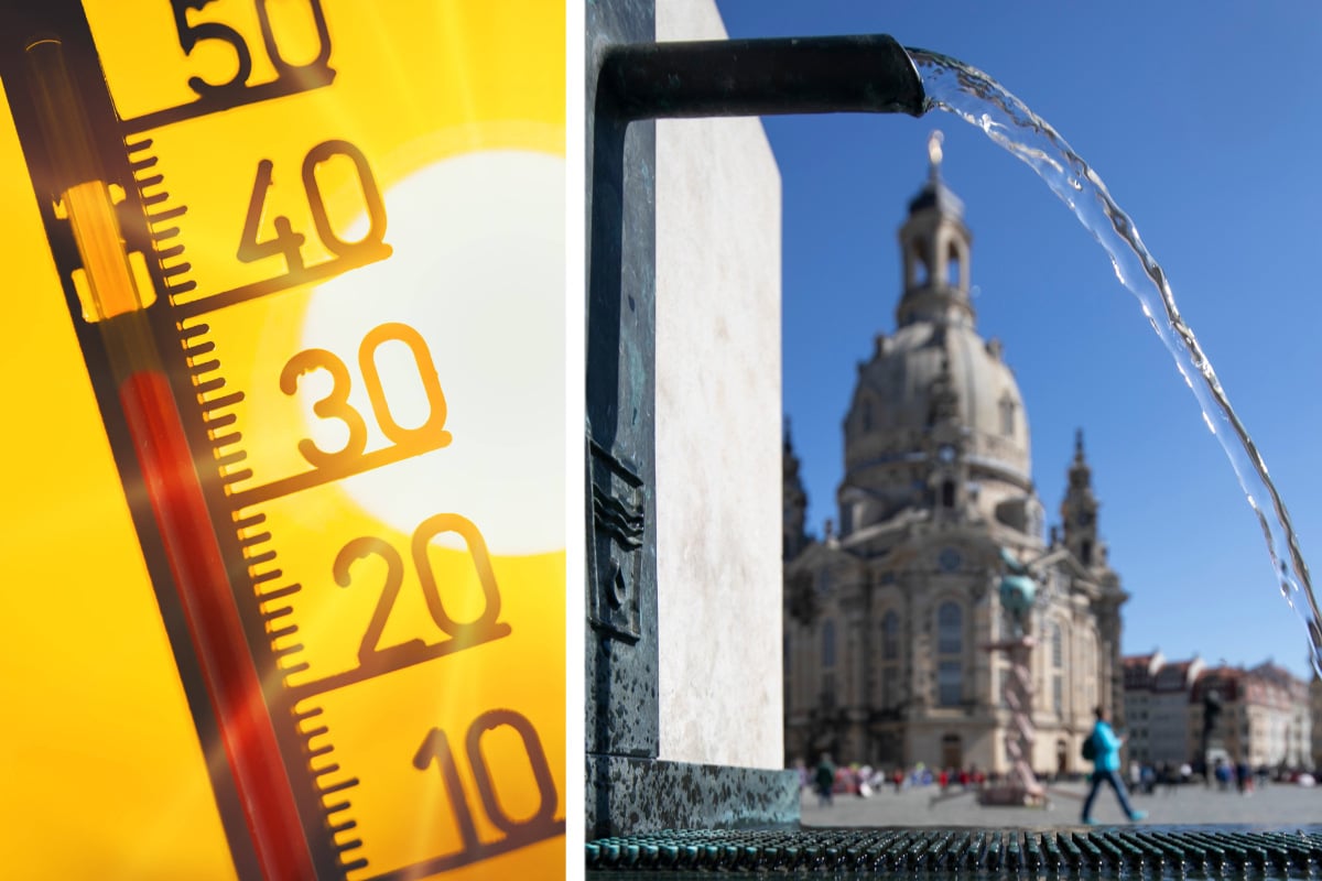 So will Dresden die Hitze aus der Stadt verbannen