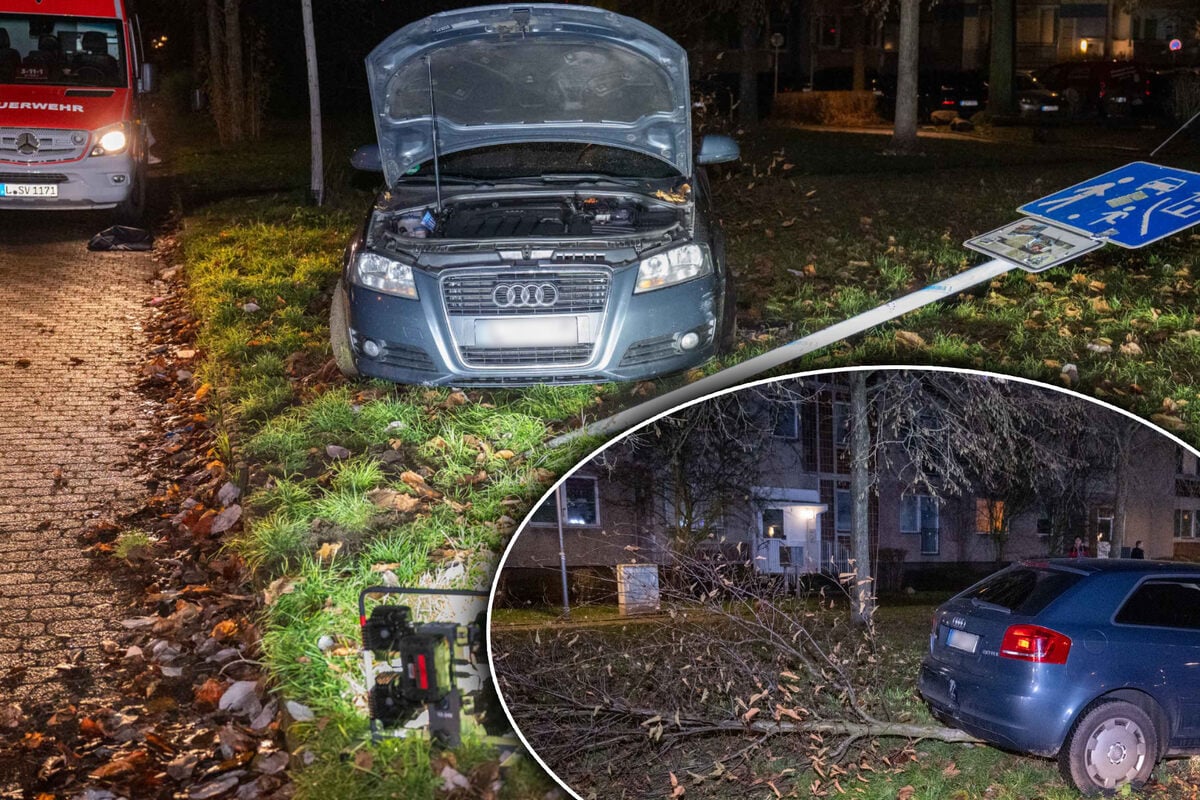 23-j-hrige-ohne-f-hrerschein-verwechselt-gas-mit-bremse-und-f-llt-mit-ihrem-audi-einen-baum