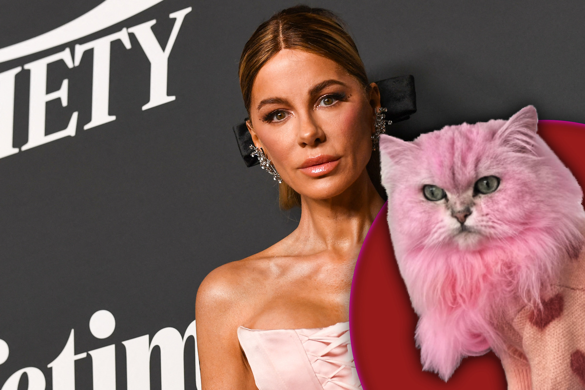 女優ケイト・ベッキンセイルが猫をピンク色に染める