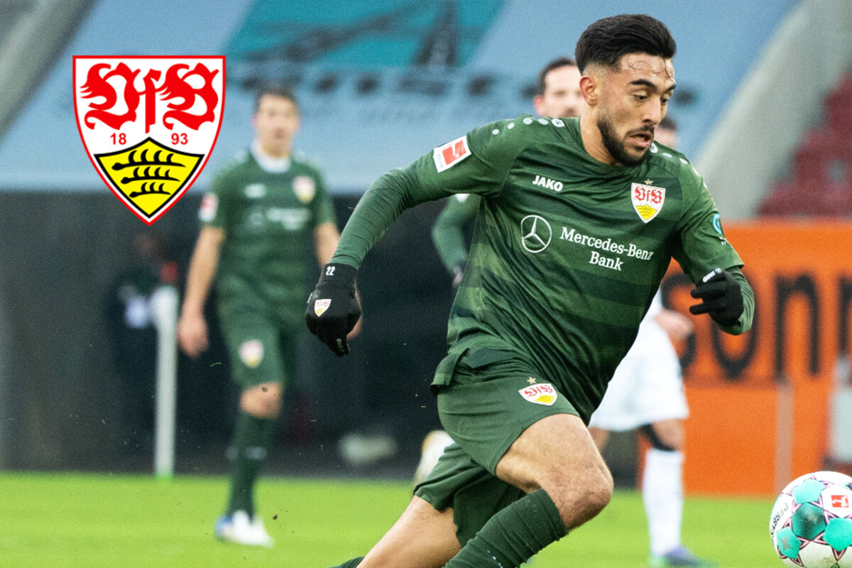 Dynamo Dresden Vfb Stuttgart Dynamo Dresden Vfb Stuttgart