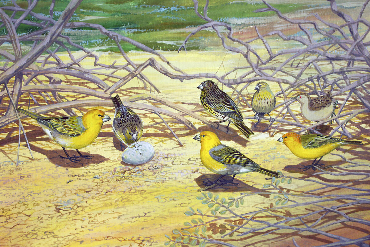 World heading for "biological annihilation" as 21 US species declared extinct in 2023