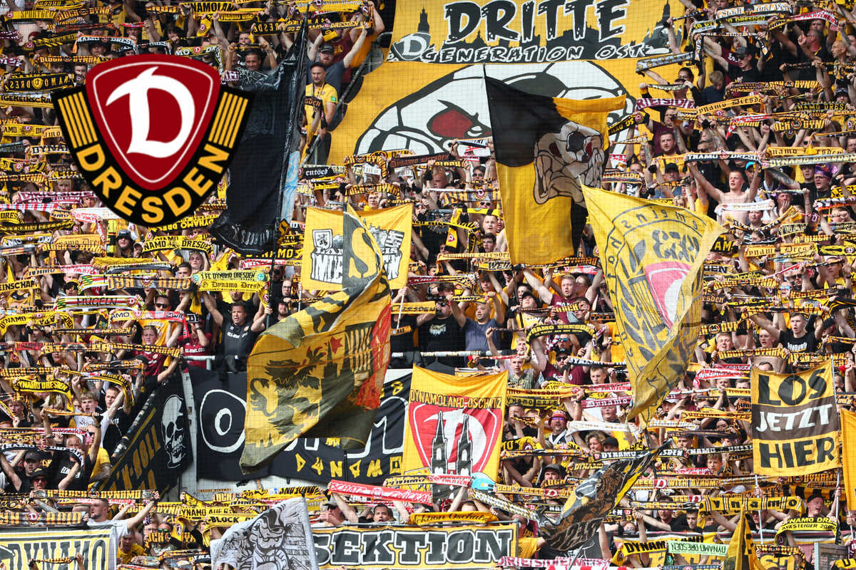 Dynamo-Dresden-Blog: So viele Dauerkarten hat die SGD bereits verkauft!