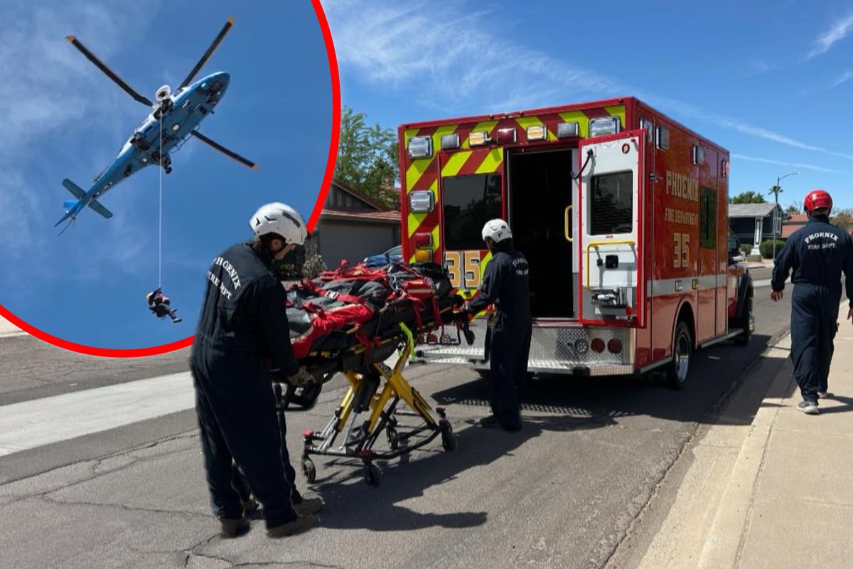 Wanderung endet im Albtraum: Mann kämpft nach über 100 Bienenstichen um sein Leben