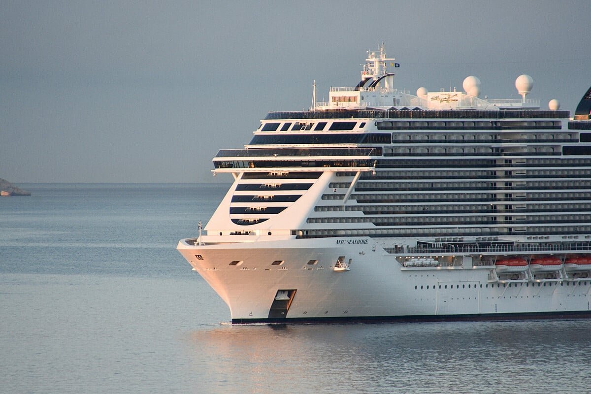 MSC Seashore accident leads to death as teen falls from cruise ship