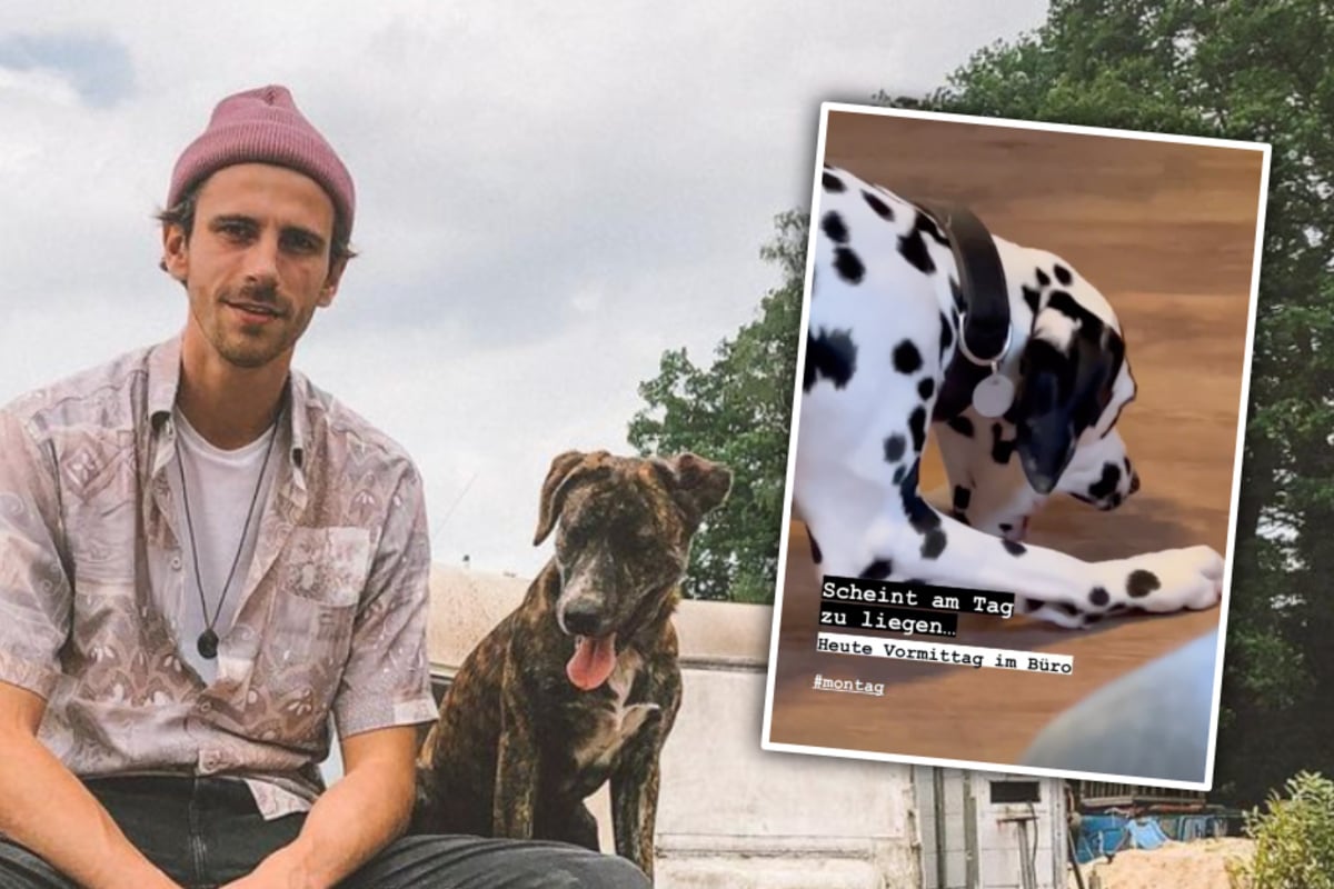 Fynn Kliemann celebrates Instagram comeback with puking dogs