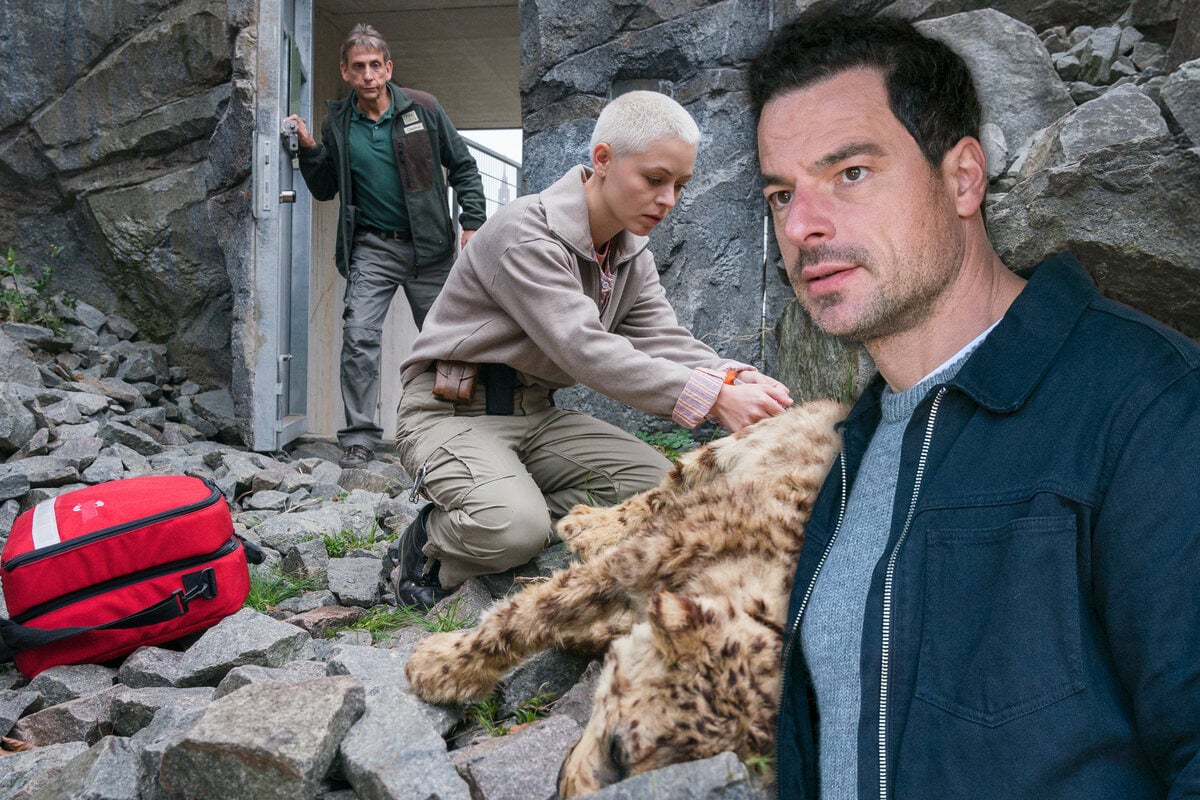 Schock im Leipziger Zoo: Dr. Berger steht vor dem Aus – Was hat er falsch gemacht?