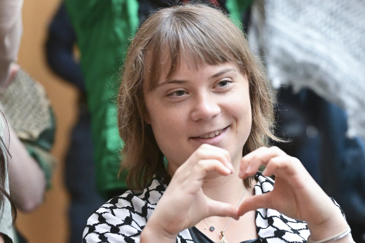 Prozess um Palästina-Aktivisten: Was macht Greta Thunberg im Gerichtssaal?