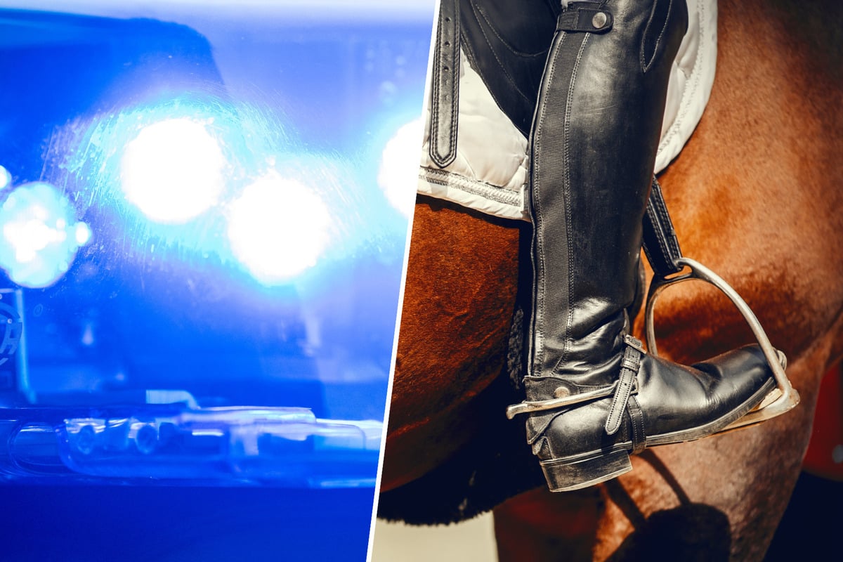 Reitunfall-durch-Knaller-M-dchen-nach-Sturz-schwer-verletzt-