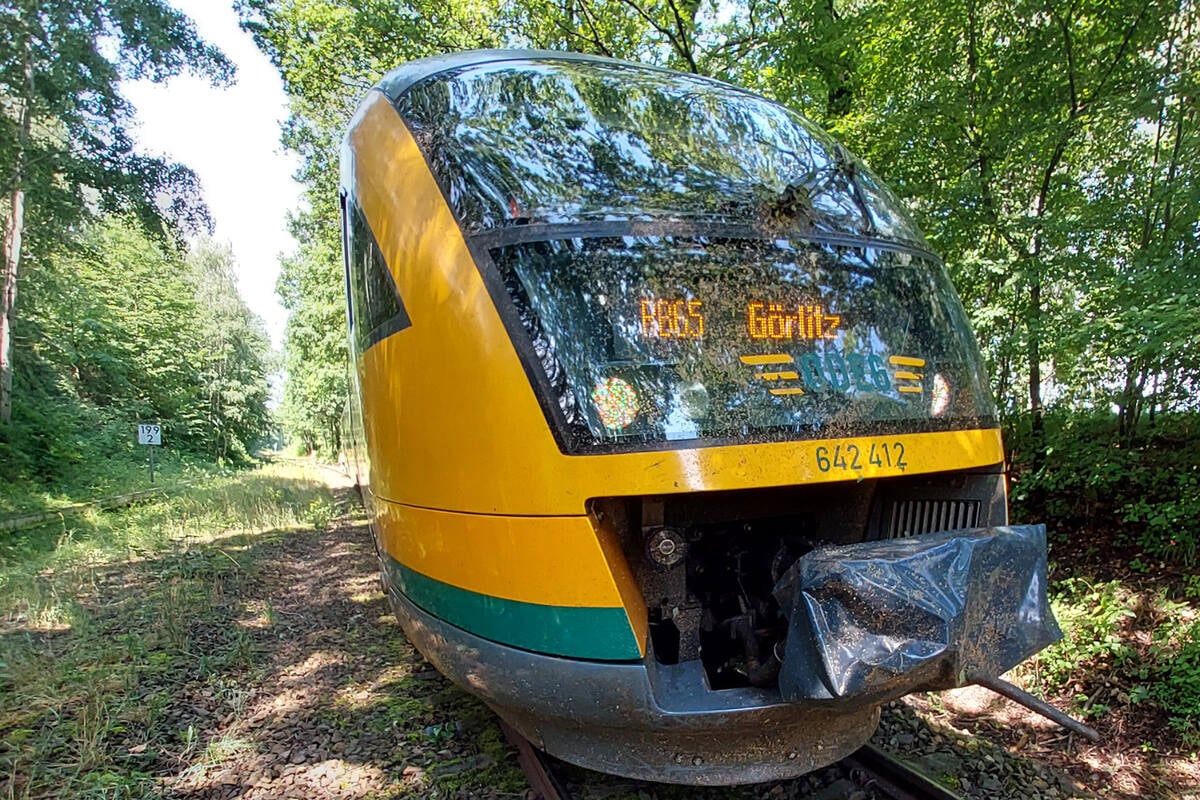 Schockmoment-auf-s-chsischer-Bahnstrecke-Zug-donnert-mit-ber-100-km-h-gegen-Baum