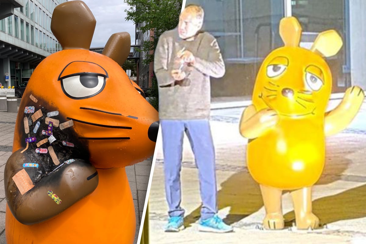 brandanschlag-auf-maus-figur-polizei-sucht-nach-diesem-mann