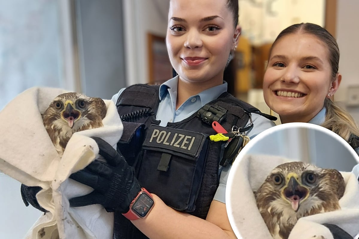 Tierischer-Notfall-im-Bahnhof-Polizistinnen-machen-tragische-Entdeckung-auf-den-Gleisen