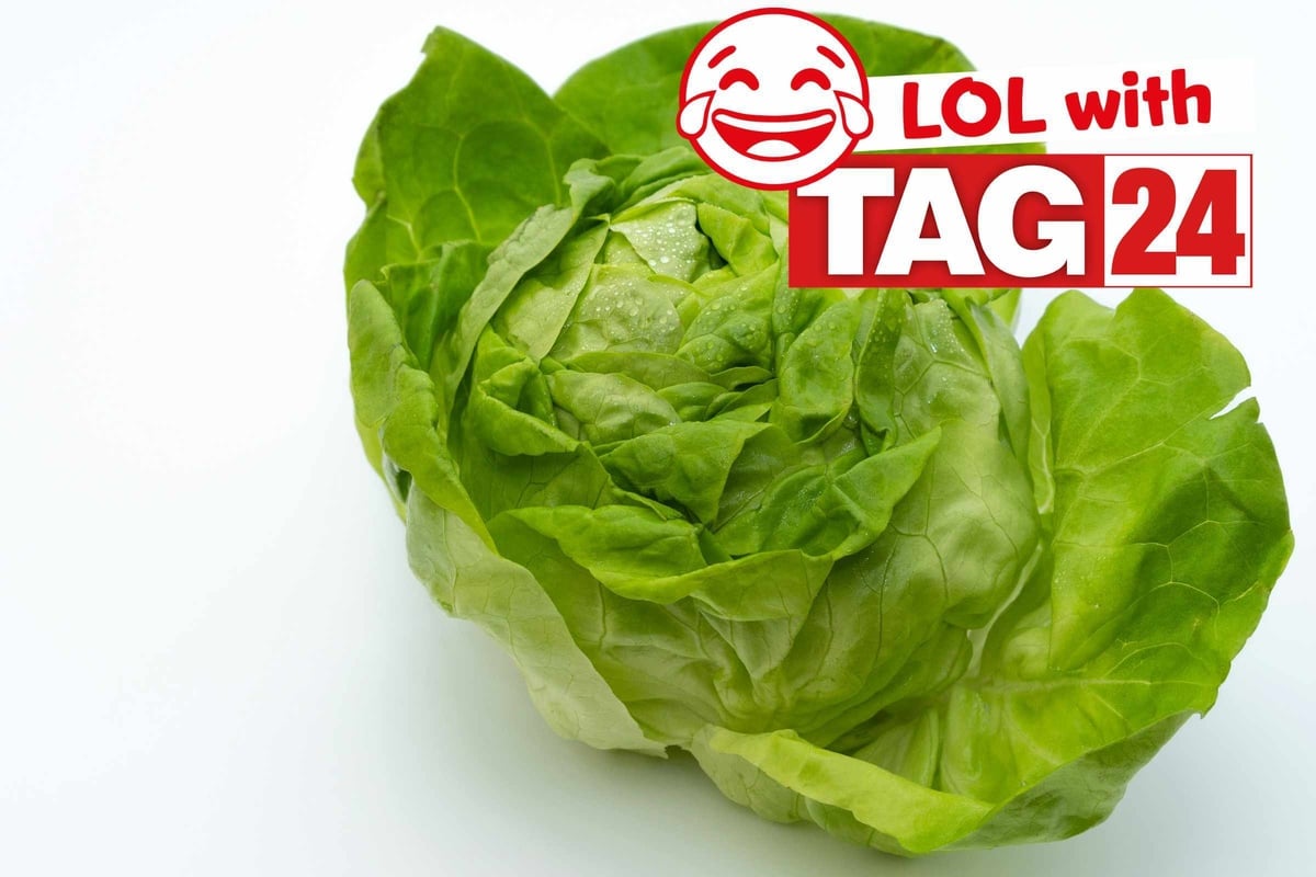 Joke of the Day for April 24, 2026: A yummy funny knock-knock joke