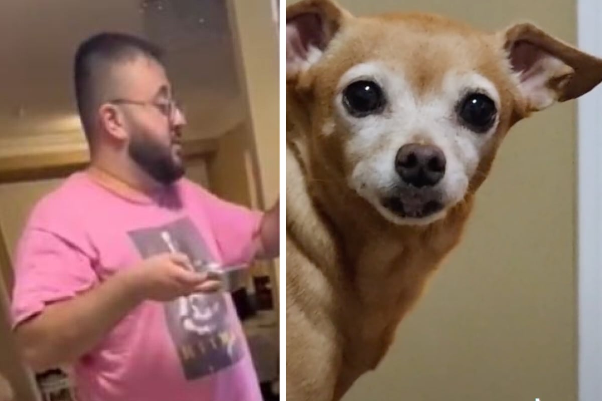 dodgy-doggy-dinner-routine-plays-a-trick-on-tiktok-too
