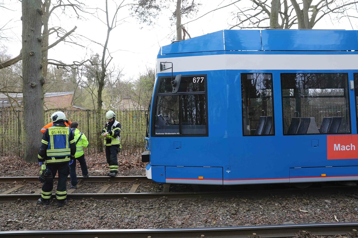 Schwerer Unfall in Rostock: Gleisarbeiter von Bahn erfasst