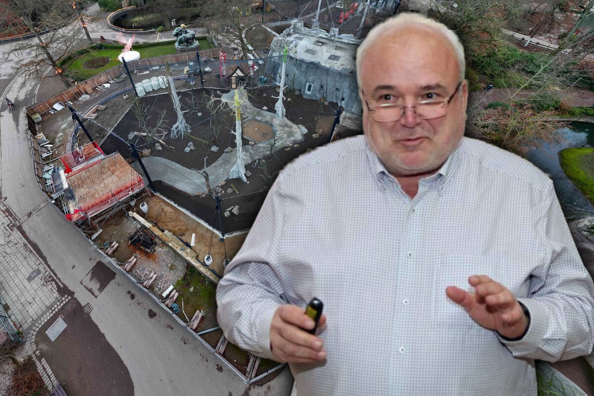 Nach-herben-R-ckschl-gen-Leipziger-Zoodirektor-plant-Gro-es-f-r-2026