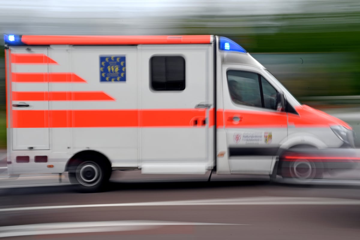 Grausamer Unfall: Zwei junge Frauen und zwei Kleinkinder sterben bei Lkw-Kollision