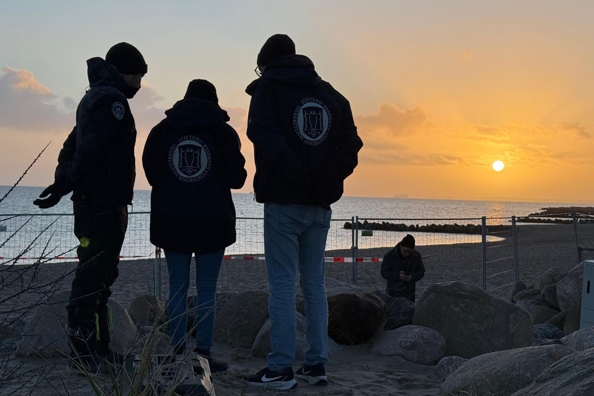 Gestrandeter Buckelwal: Wal soll gesichtet worden sein