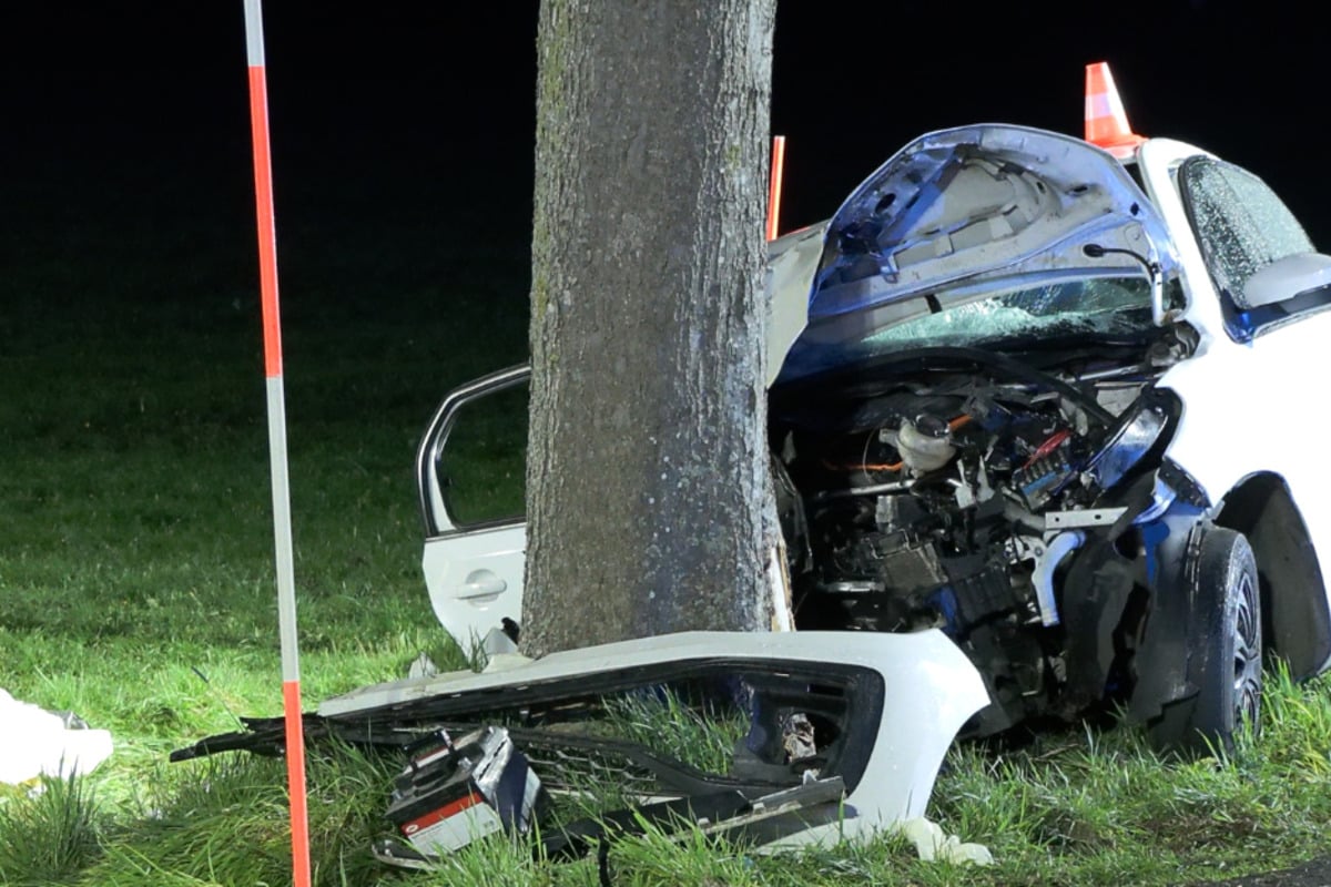 VW kracht gegen Baum: 16-Jähriger stirbt, Tumulte an der Unfallstelle