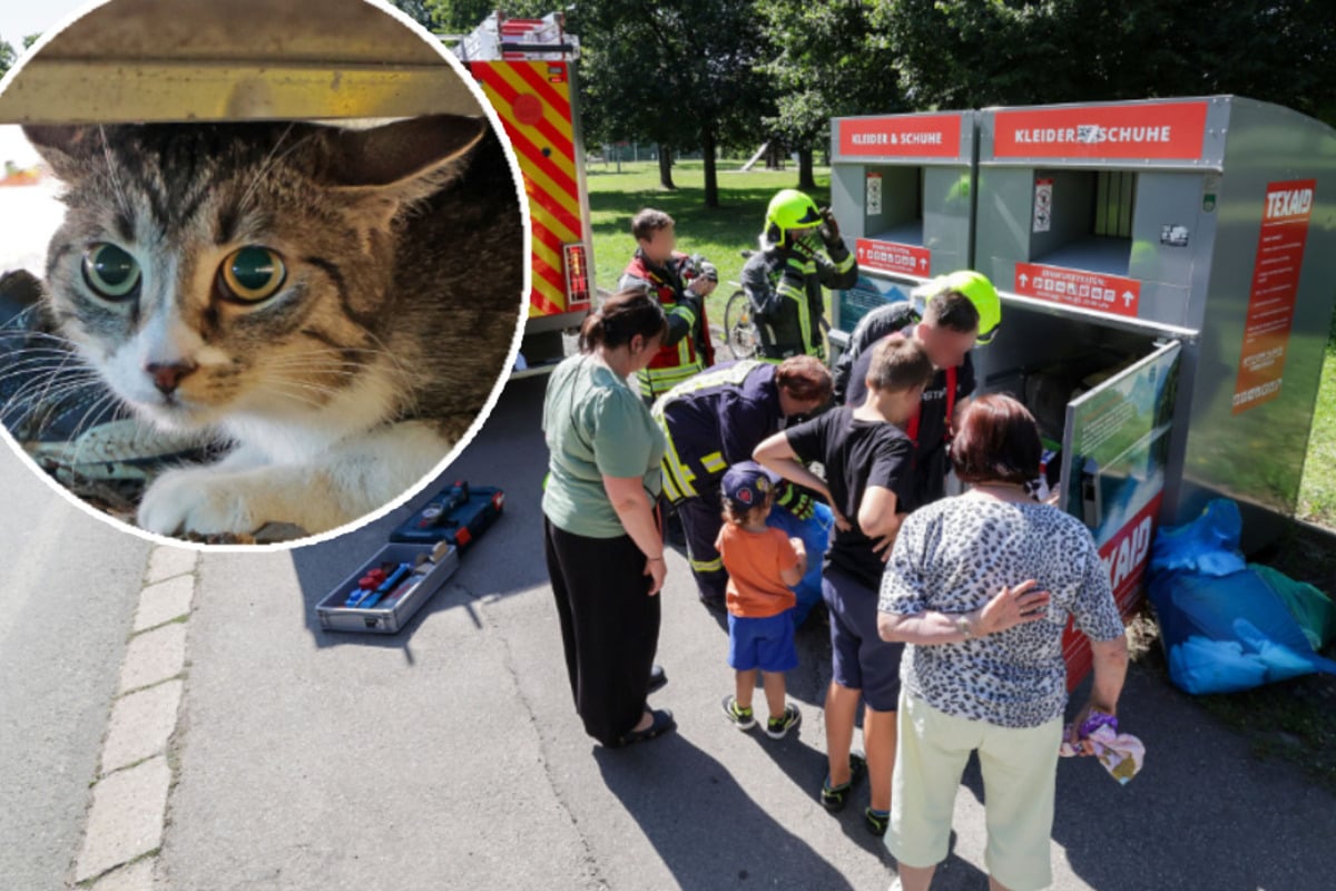 Tierischer Feuerwehreinsatz: Katzenjammer im Kleidercontainer