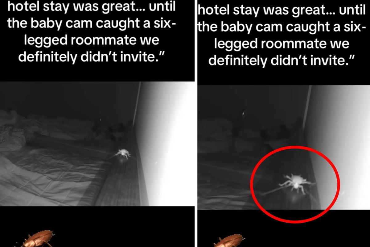 Frau-ist-von-Hotelzimmer-begeistert-doch-dann-entdeckt-sie-einen-ungebetenen-Gast