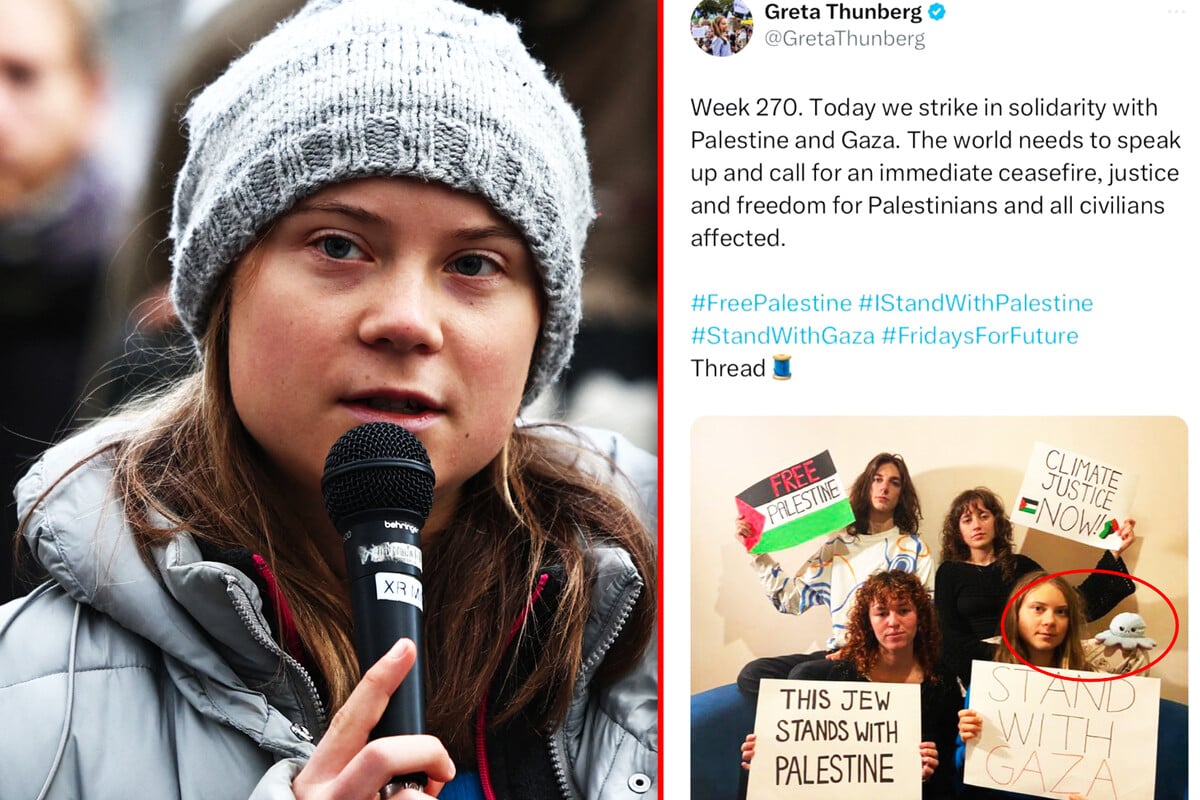 Controversy Surrounds Greta Thunberg’s Pro-Palestinian Message Due to Alleged Anti-Semitic Symbol