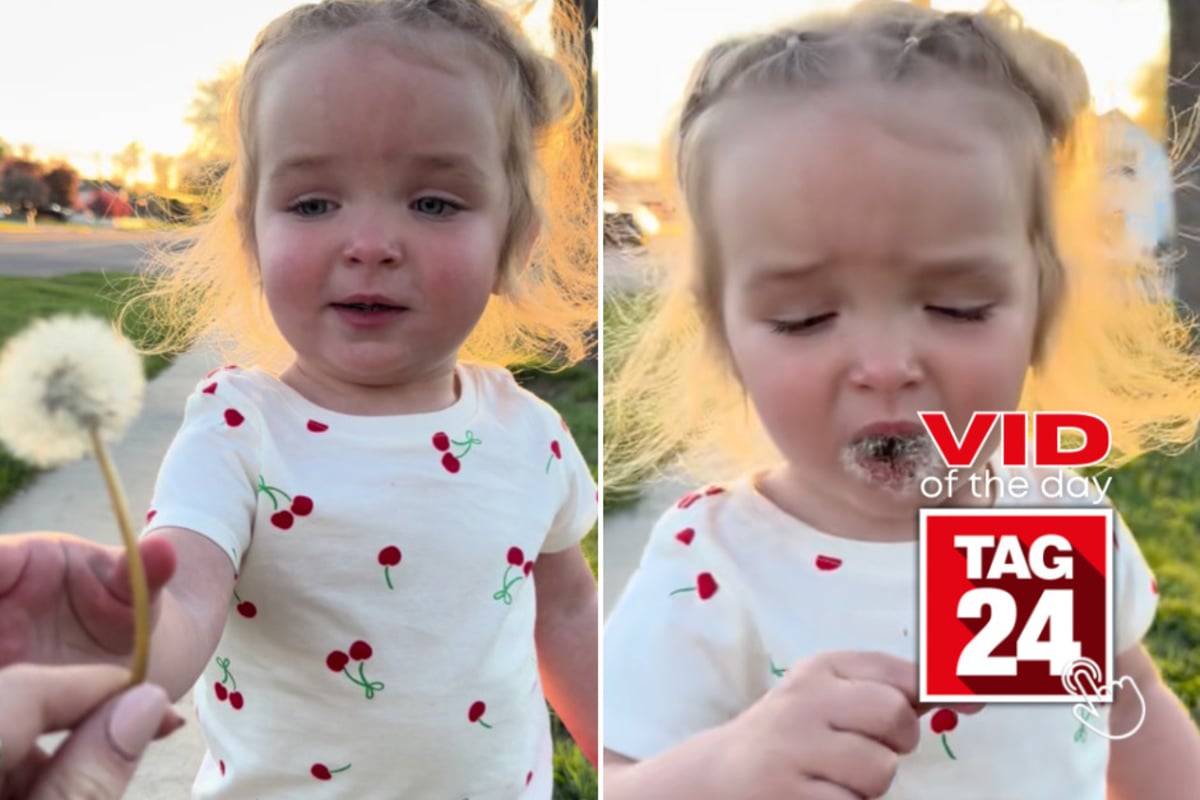 Viral Video of the Day for April 19, 2026: Toddler shoves dandelion straight into her mouth in hilarious TikTok