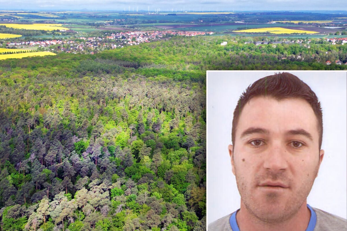 Amateurboxer-in-Wald-gelockt-und-brutal-get-tet-Wurden-Schulden-ihm-zum-Verh-ngnis-