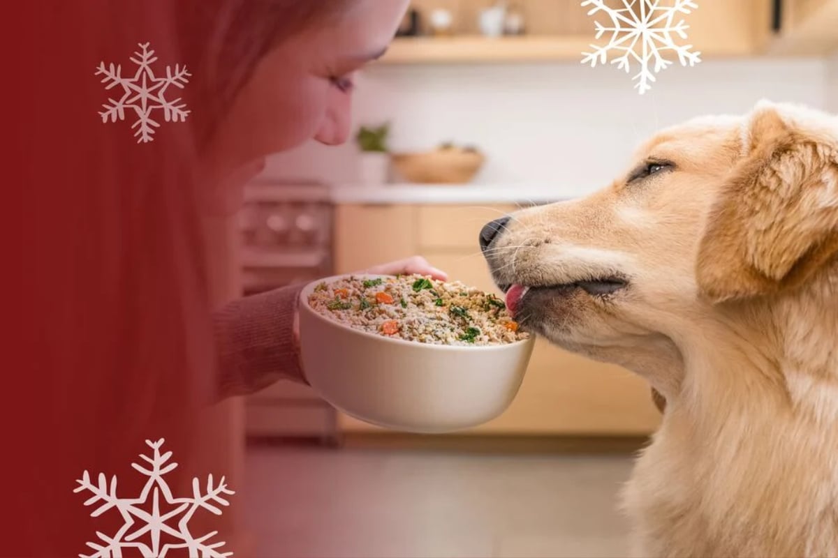 JustFoodForDogs is offering 60% off fresh pet food this Black Friday and vets are taking notice