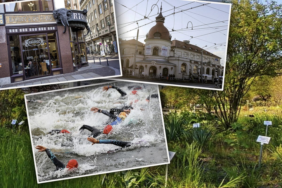 Führung, Flohmarkt oder Triathlon am See? Der Sonntag in Leipzig hat einige Highlights in petto