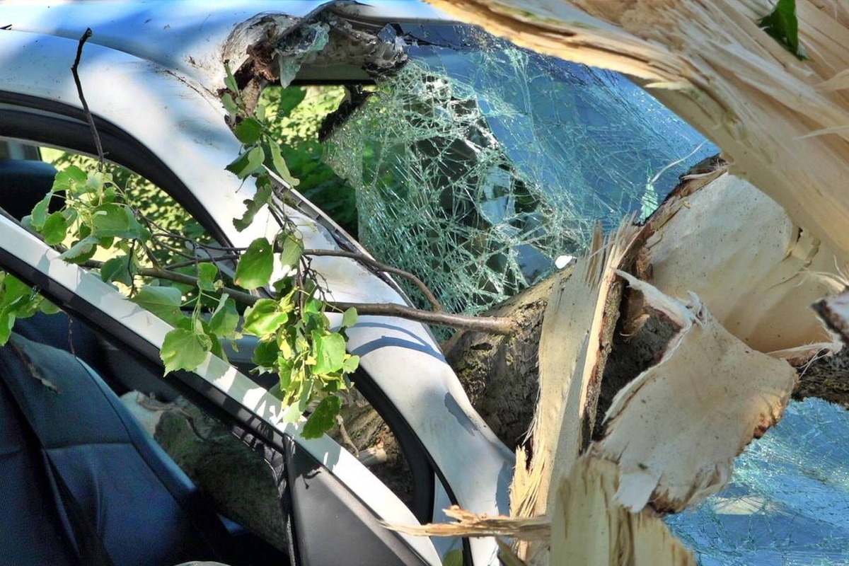 Baum fällt auf VW-Bus: 22-Jährige im Krankenhaus gestorben