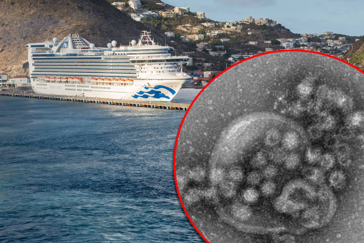 115 Menschen infiziert: Noch ein Virusausbruch auf einem Kreuzfahrtschiff