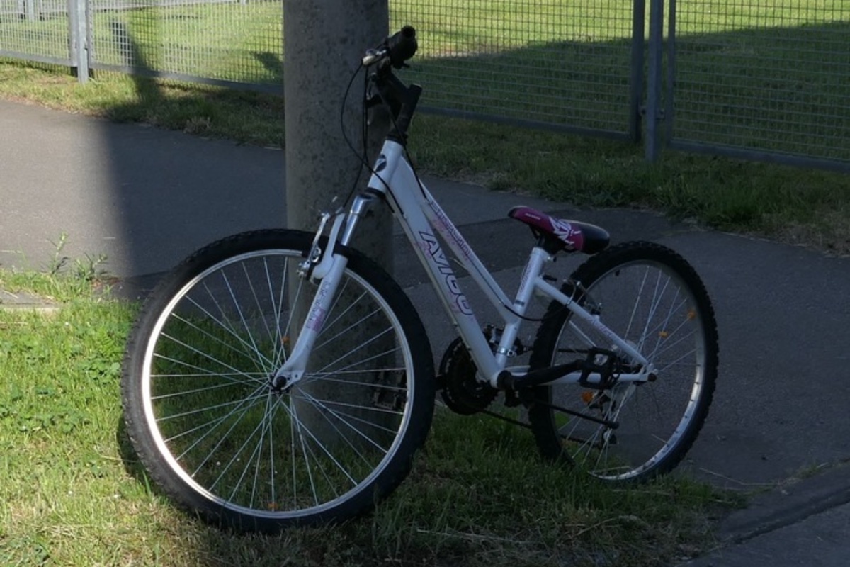 Fahrrad-Fund in Chemnitz: Wem gehört dieses Bike?