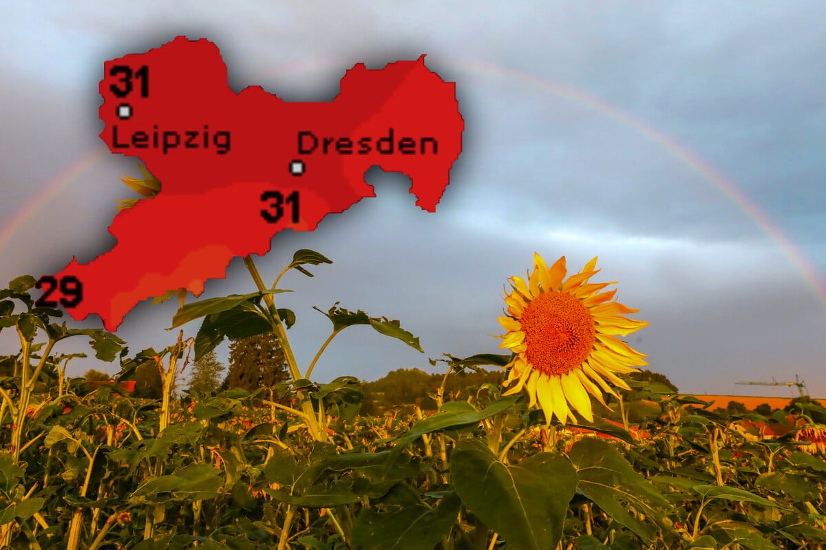 Erst Hitze, dann Gewitter und Regen: Sommer in Sachsen bleibt wankelmütig