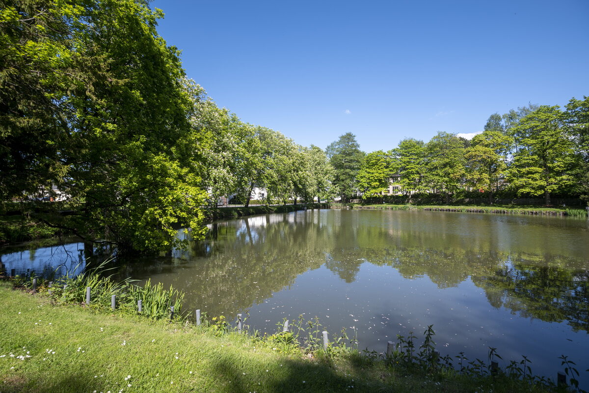 Hartmannsdorf Toter im Teich Polizei spricht von "natürlichem Tod"