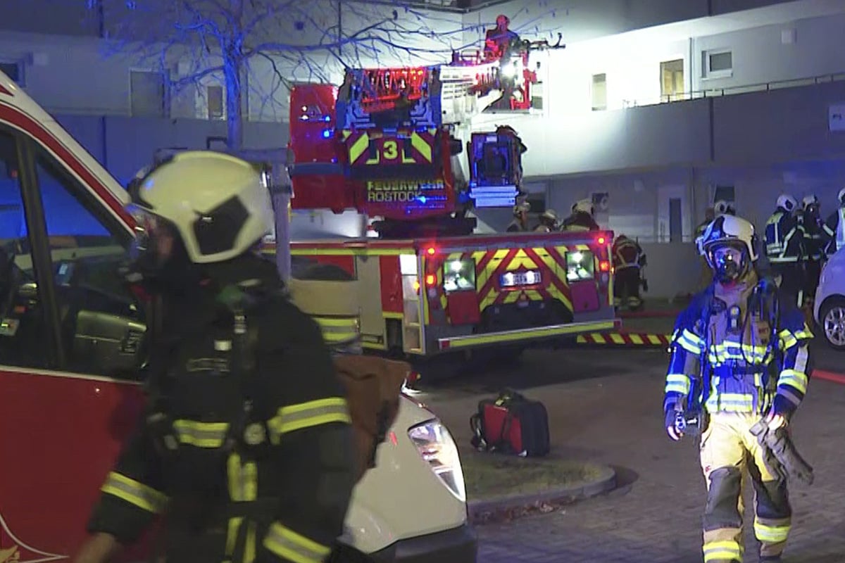 Hund-stirbt-bei-Wohnungsbrand-Auch-sein-Frauchen-wird-verletzt