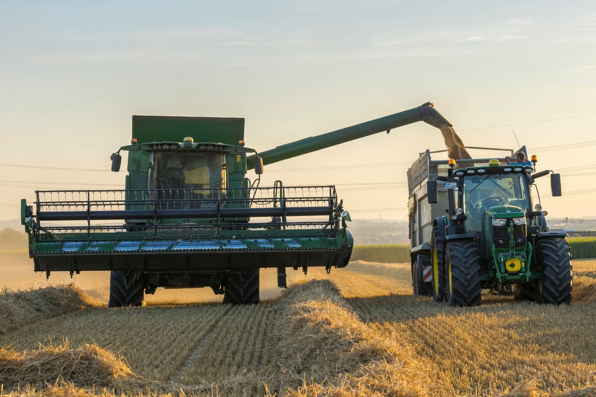 Der TAG24-Check: Sachsens Landwirtschaft in Zahlen