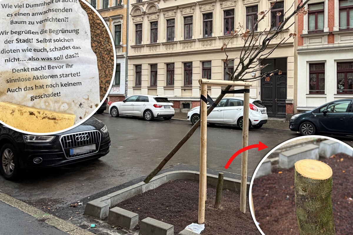 -Idioten-wie-ihr-Naturfeinde-holzen-schon-wieder-neu-gepflanzten-Leipziger-Baum-ab