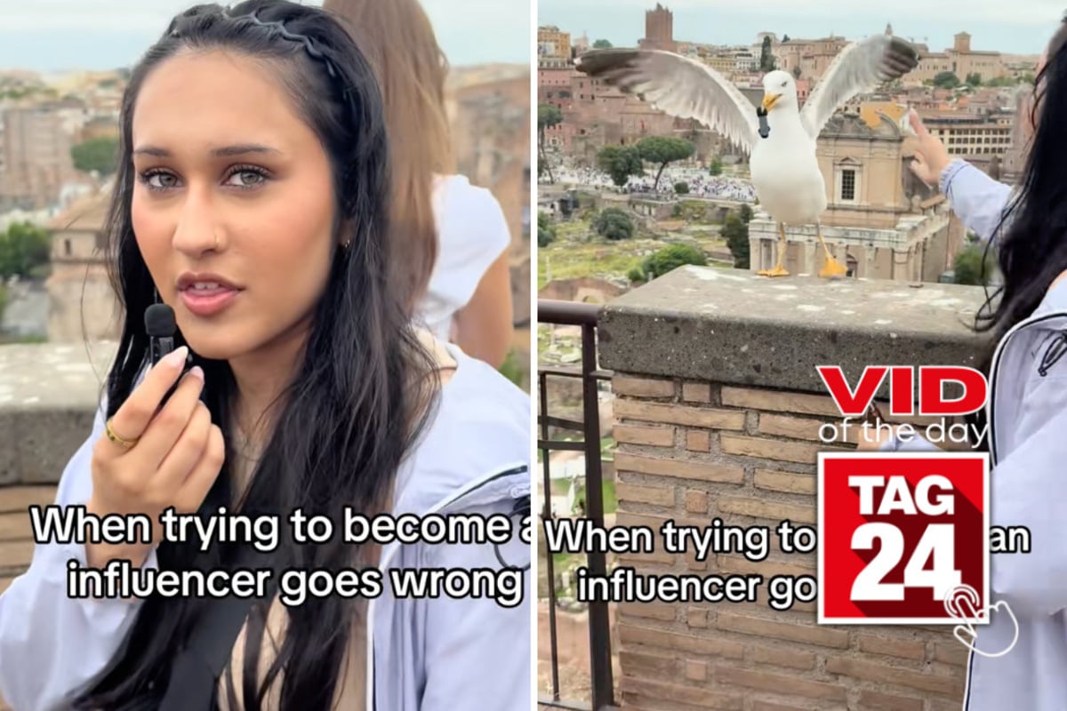 Viral Video of the Day for June 21, 2026: Woman tries to interview seagull – but gets robbed instead!