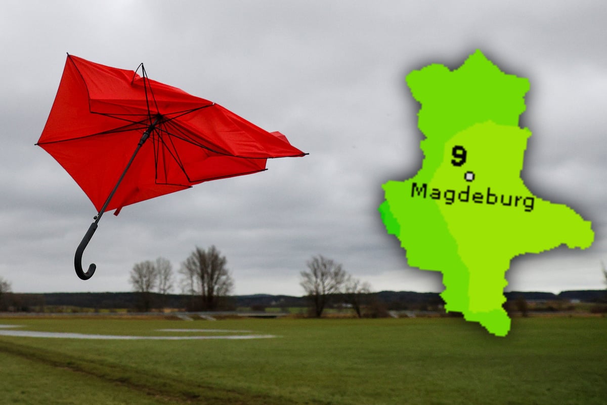 wetter sachsen anhalt 7 tage