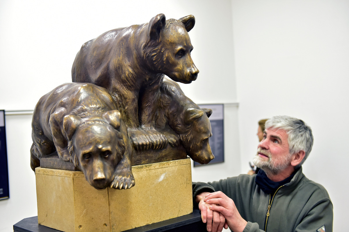 Im Chemnitzer Rathaus sind die Bären los: Neue Brunnen-Plastik erstmals zu sehen