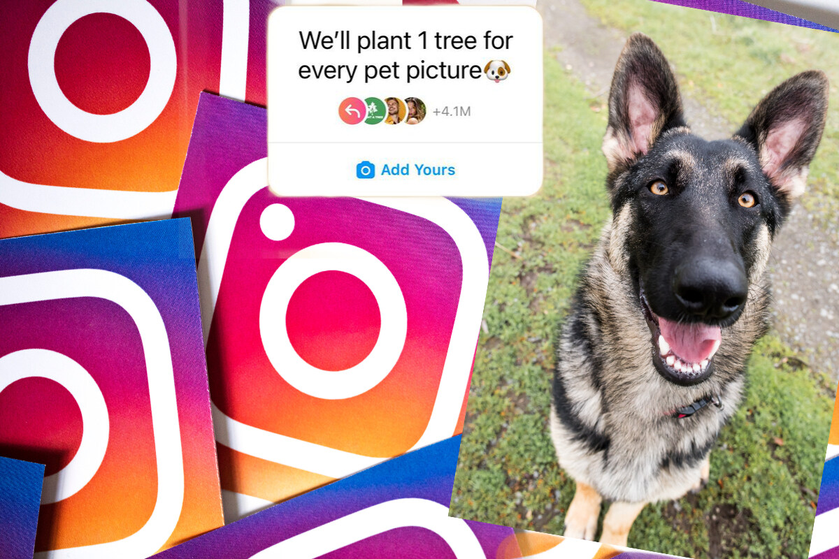 Treemendous Trend "One tree for every pet picture" misleads millions