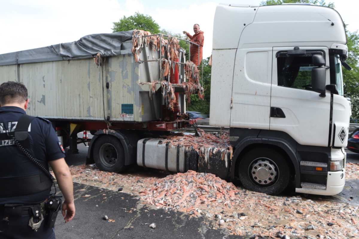 Unfall A1 Igitt Lkw Verteilt Tonnenweise Fisch Abfalle Auf Der Autobahn Tag24